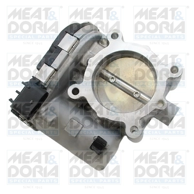Throttle Body